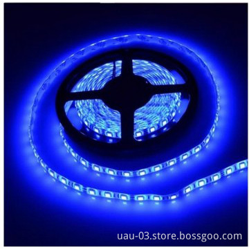 Perfect waterproof 5630 led rope light IP68   led flexible strip